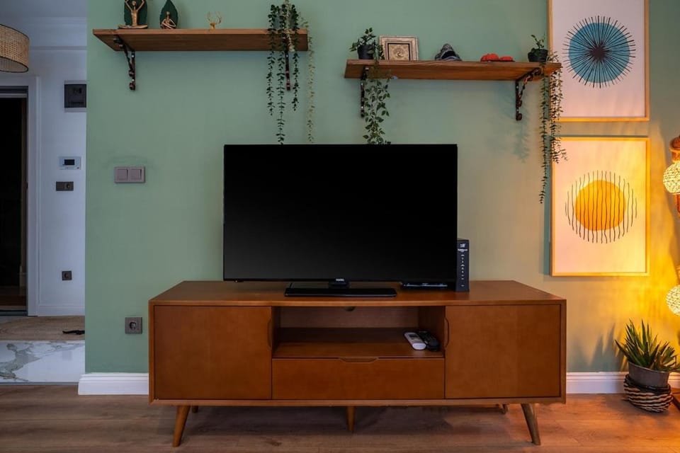 TV and multimedia