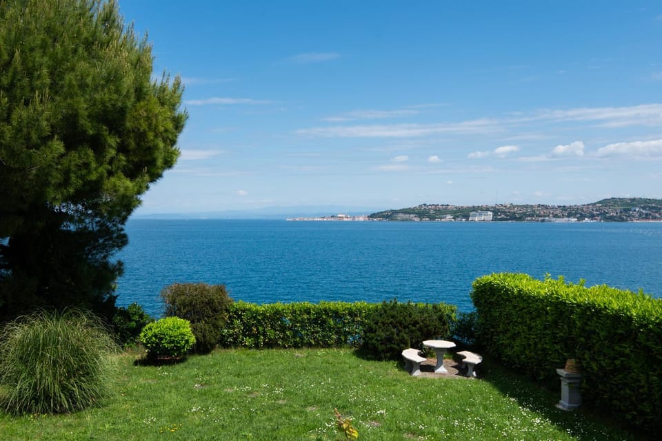 Beachfront House Sanja House in Istria County