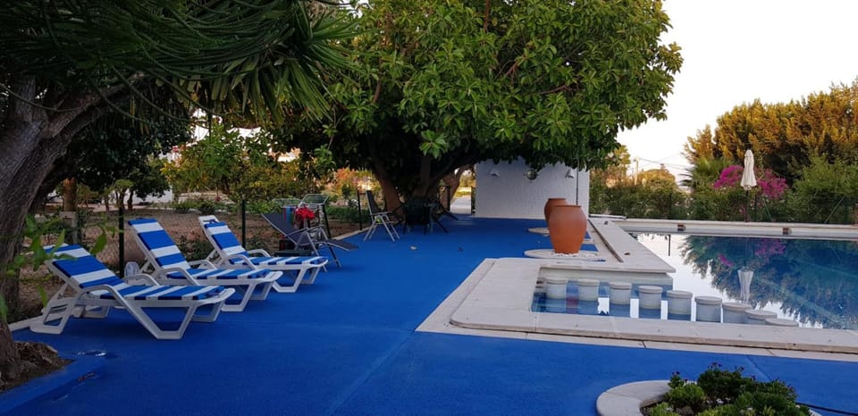 Swimming pool, Swimming pool