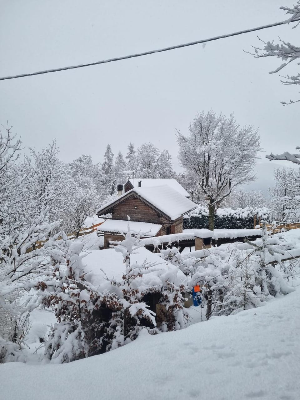 Natural landscape, Winter