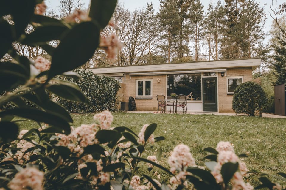 Bosnest De Specht, een knus boshuisje met privetuin in Otterlo nabij Veluwepark House in Gelderland, Netherlands
