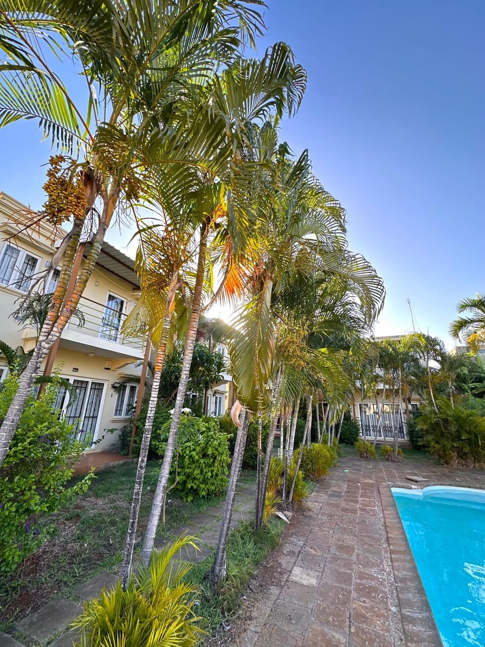 Garden, Swimming pool