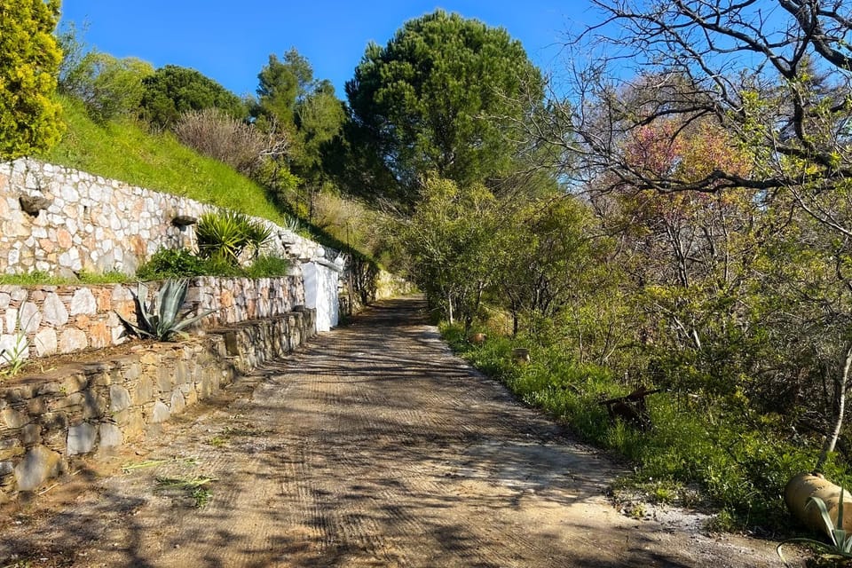 Natural landscape