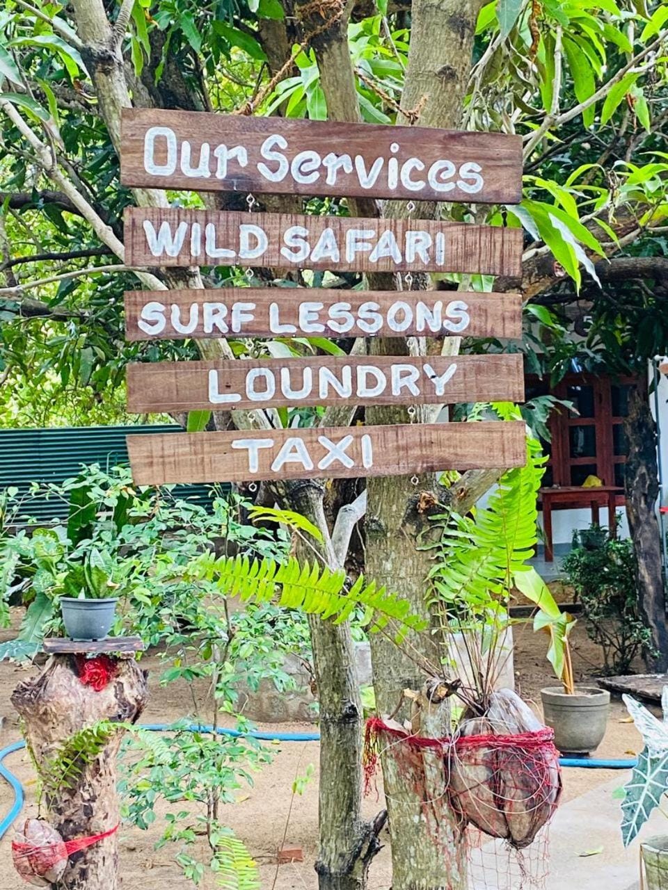 Vinka Place Arugambay Bed and Breakfast in Sri Lanka