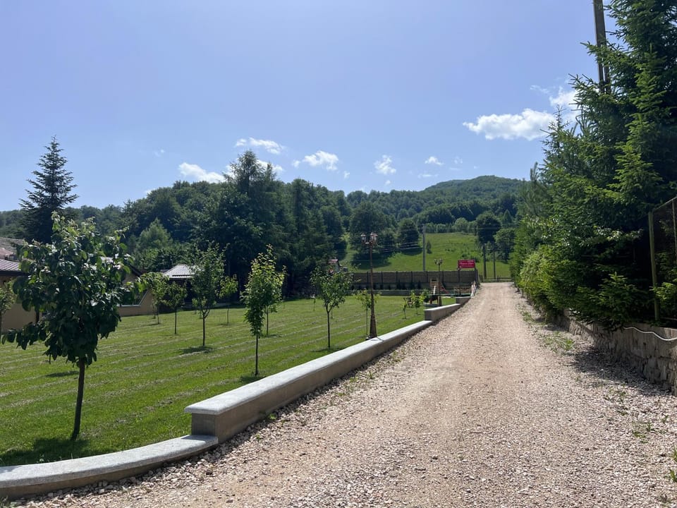 Pensiunea Silvian Bed and Breakfast in Prahova, Romania