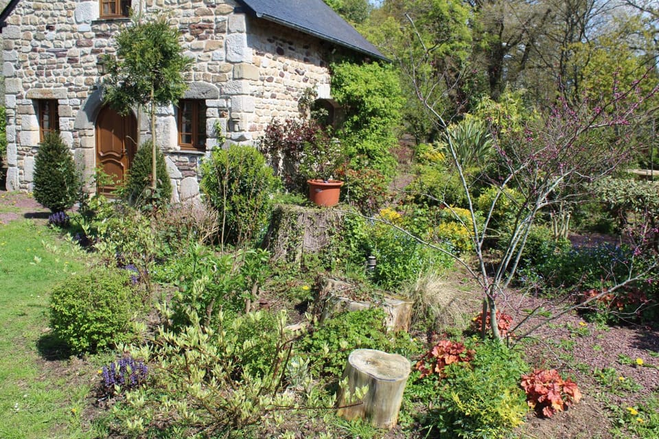 Gîte de l'Ermitage en Brocéliande 2 à 4 personnes House in Brittany