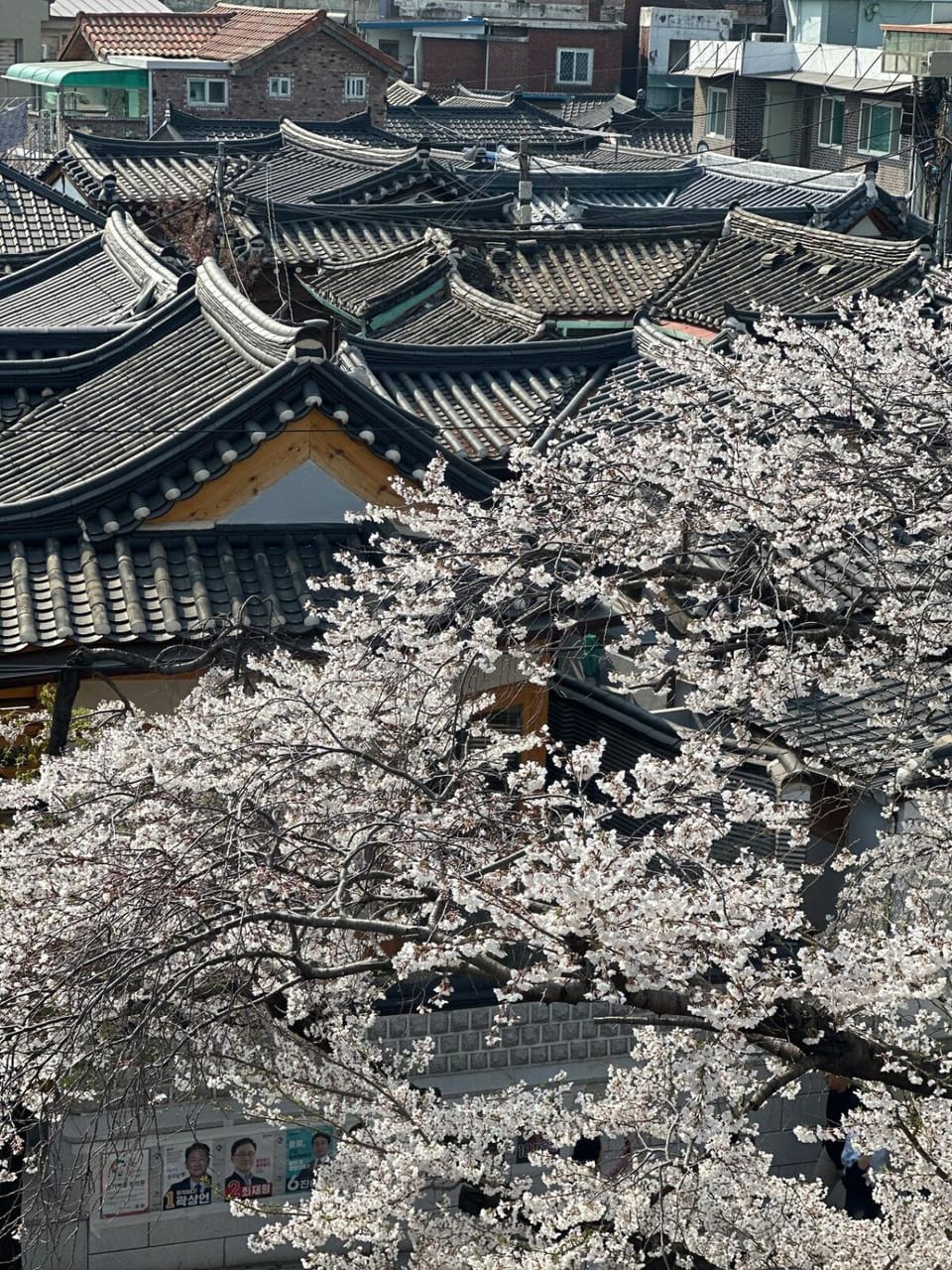 Nearby landmark