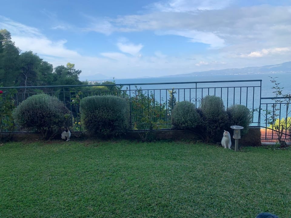 Sea view