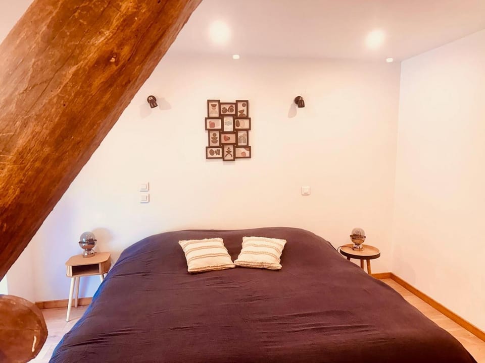 Superbe maison en pierre House in Auvergne-Rhône-Alpes