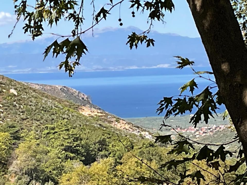 Matias Kastanies 2 Appartements with privat parking Apartment in Thasos
