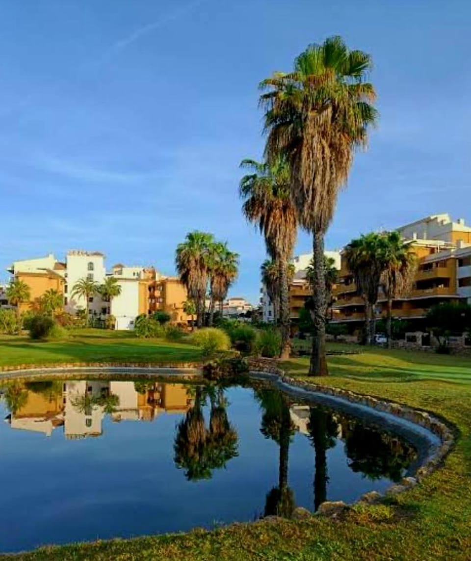 Stylish penthouse with private panoramic rooftop terrace Apartment in Vega Baja del Segura