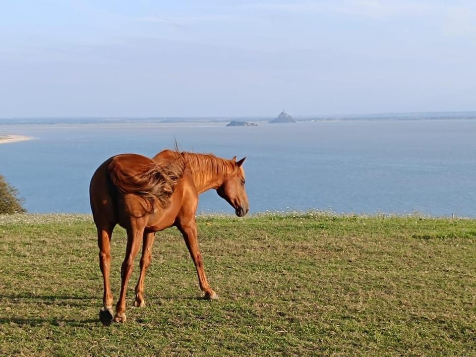 La Terrasse, Duplex Front de mer Apartment in Brittany