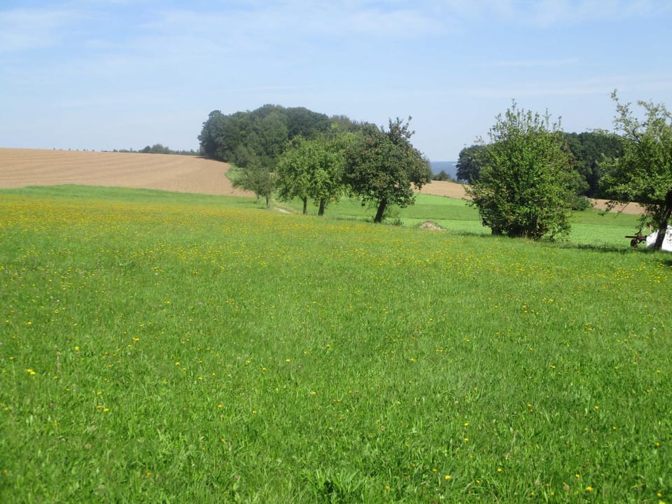 Natural landscape