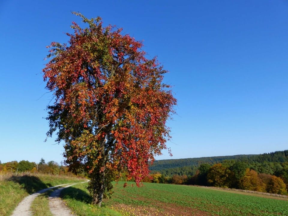 Natural landscape, Hiking