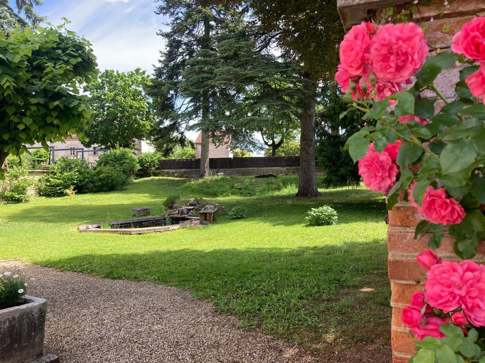 Natural landscape, Garden