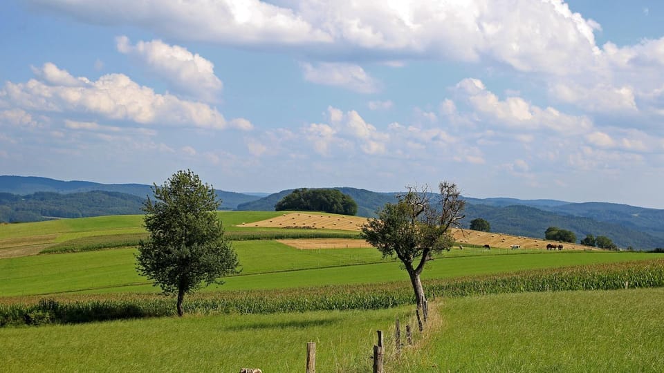 Natural landscape