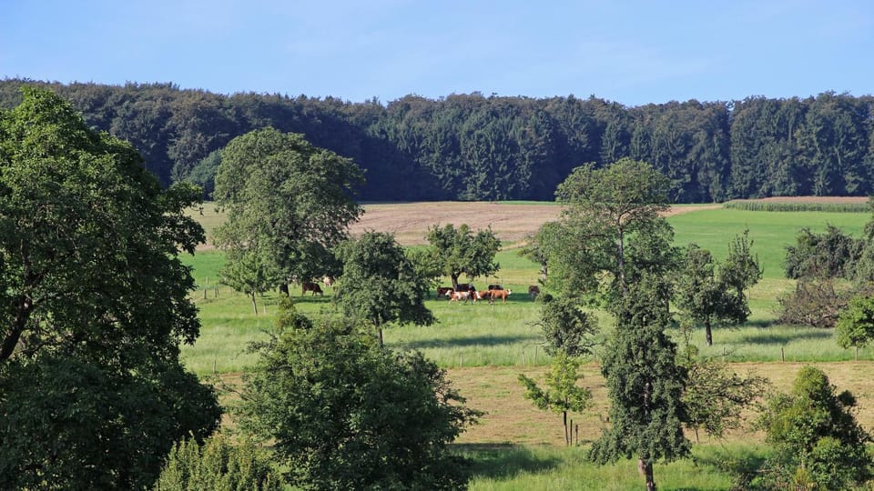 Natural landscape