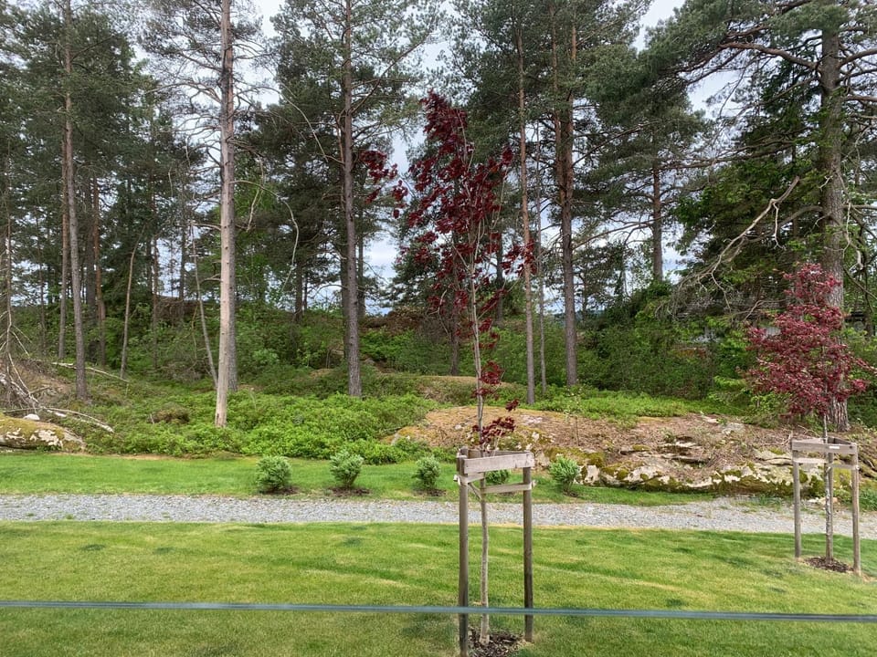 Spring, Natural landscape, Garden view