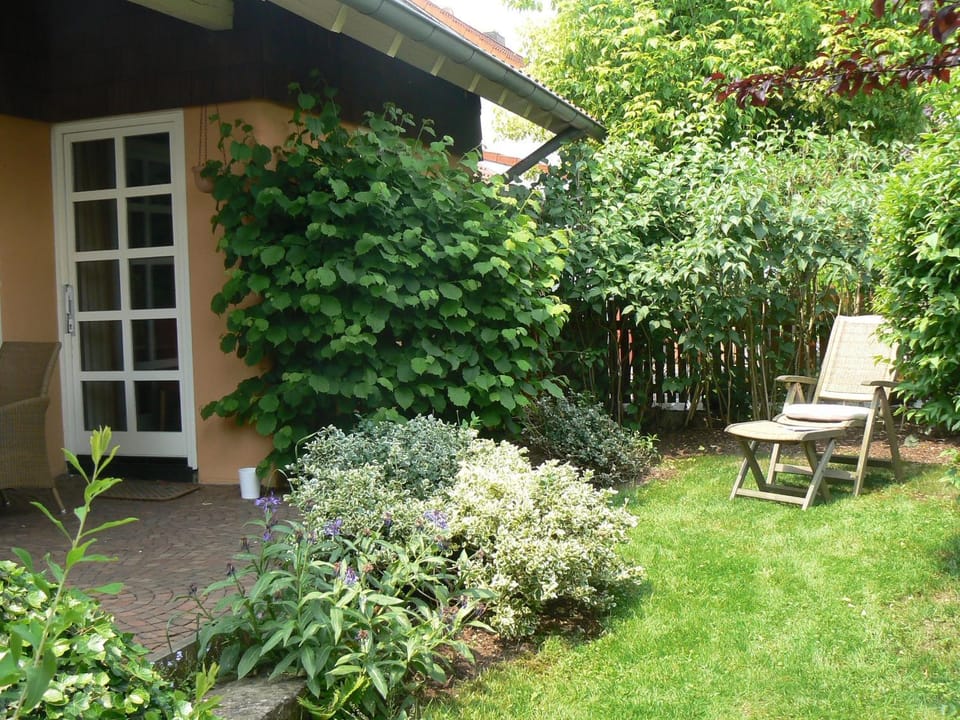 Property building, Garden