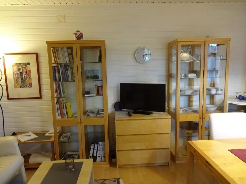 TV and multimedia, Living room