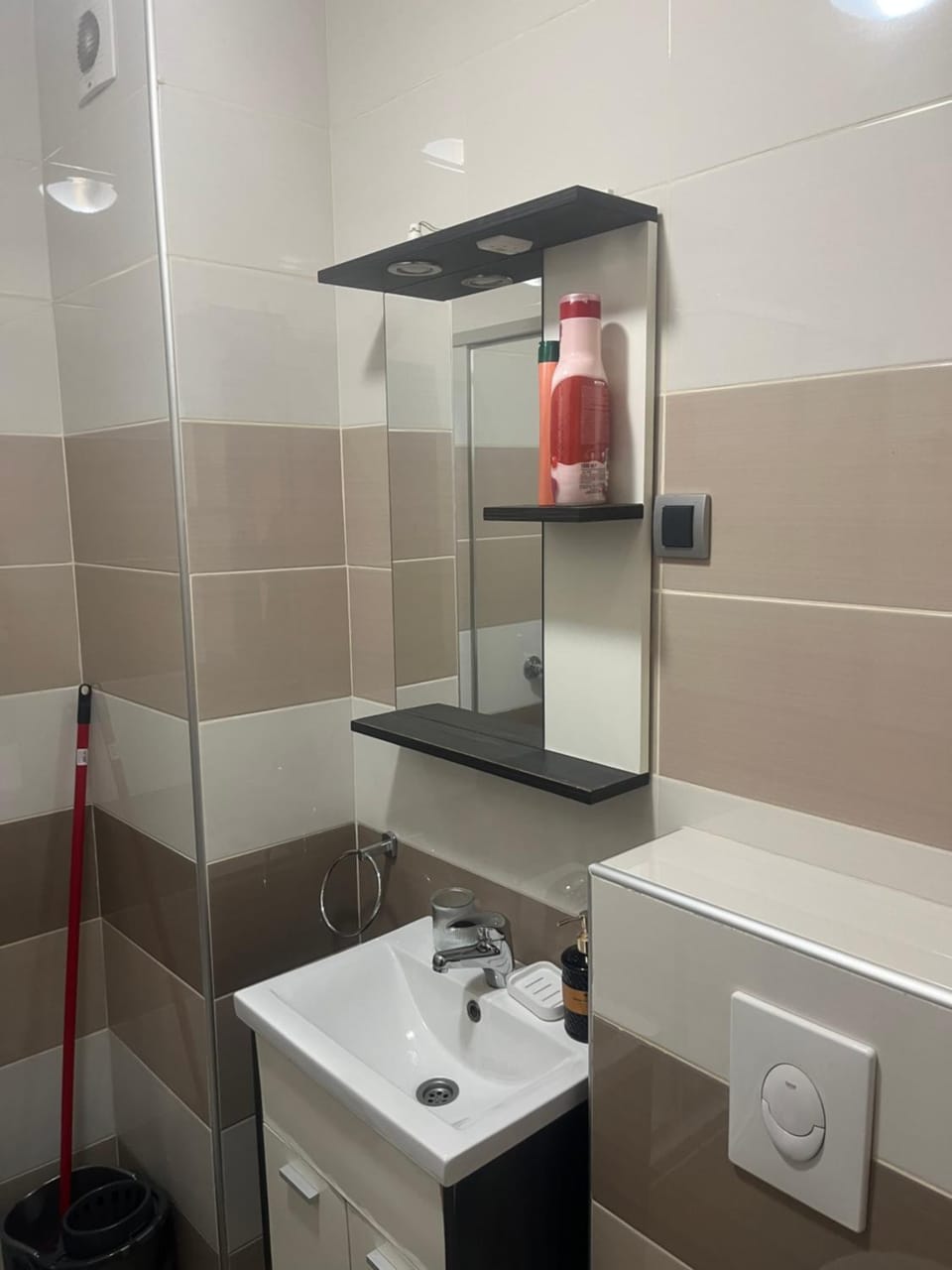 Vila Marina -apartman Sladja Apartment in Zlatibor
