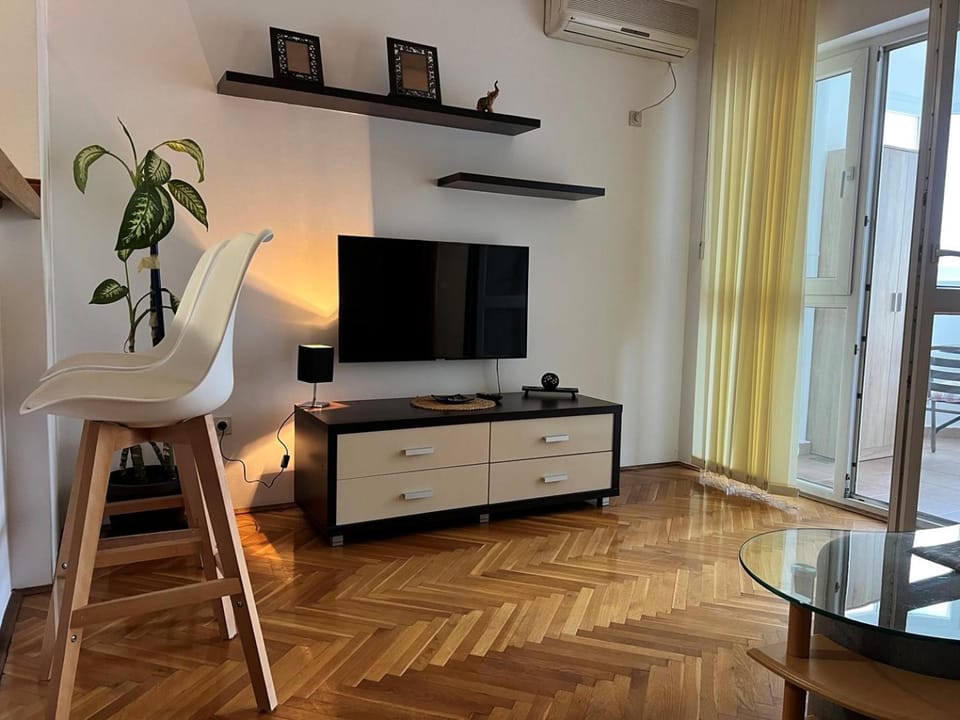 TV and multimedia