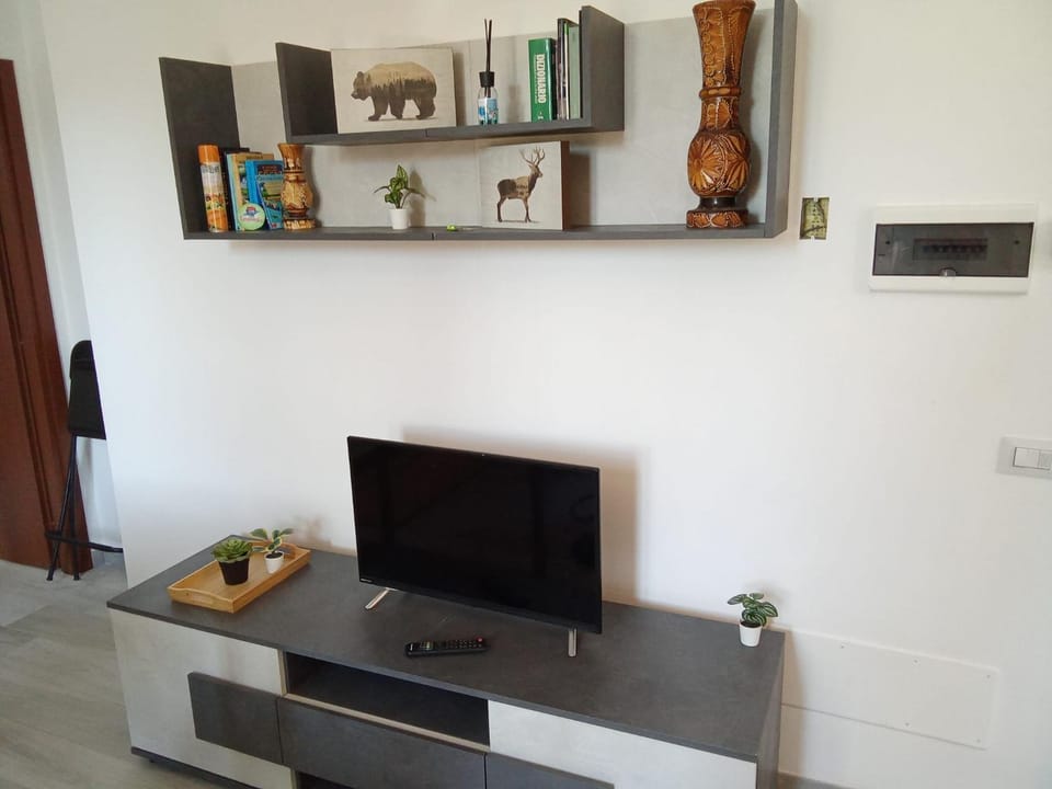 TV and multimedia
