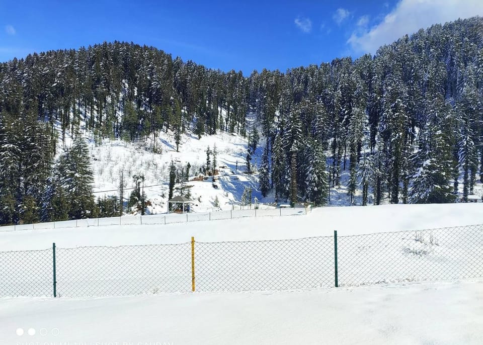 Hotel White Rock Janjehli Hotel in Himachal Pradesh