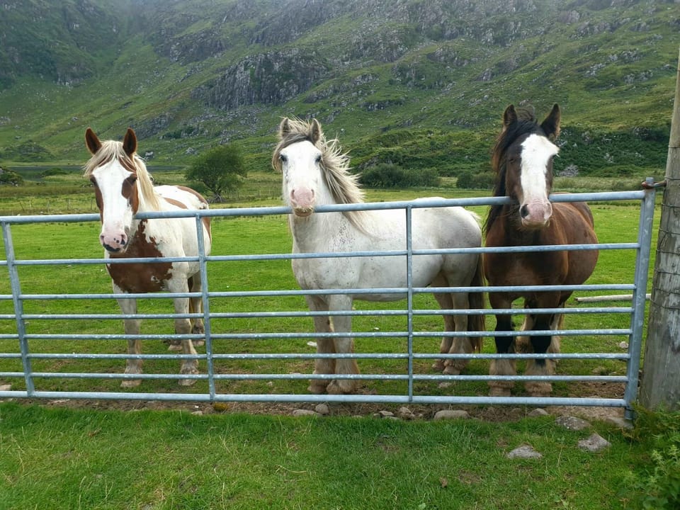 Purple Mountain Cottage Villa in County Kerry