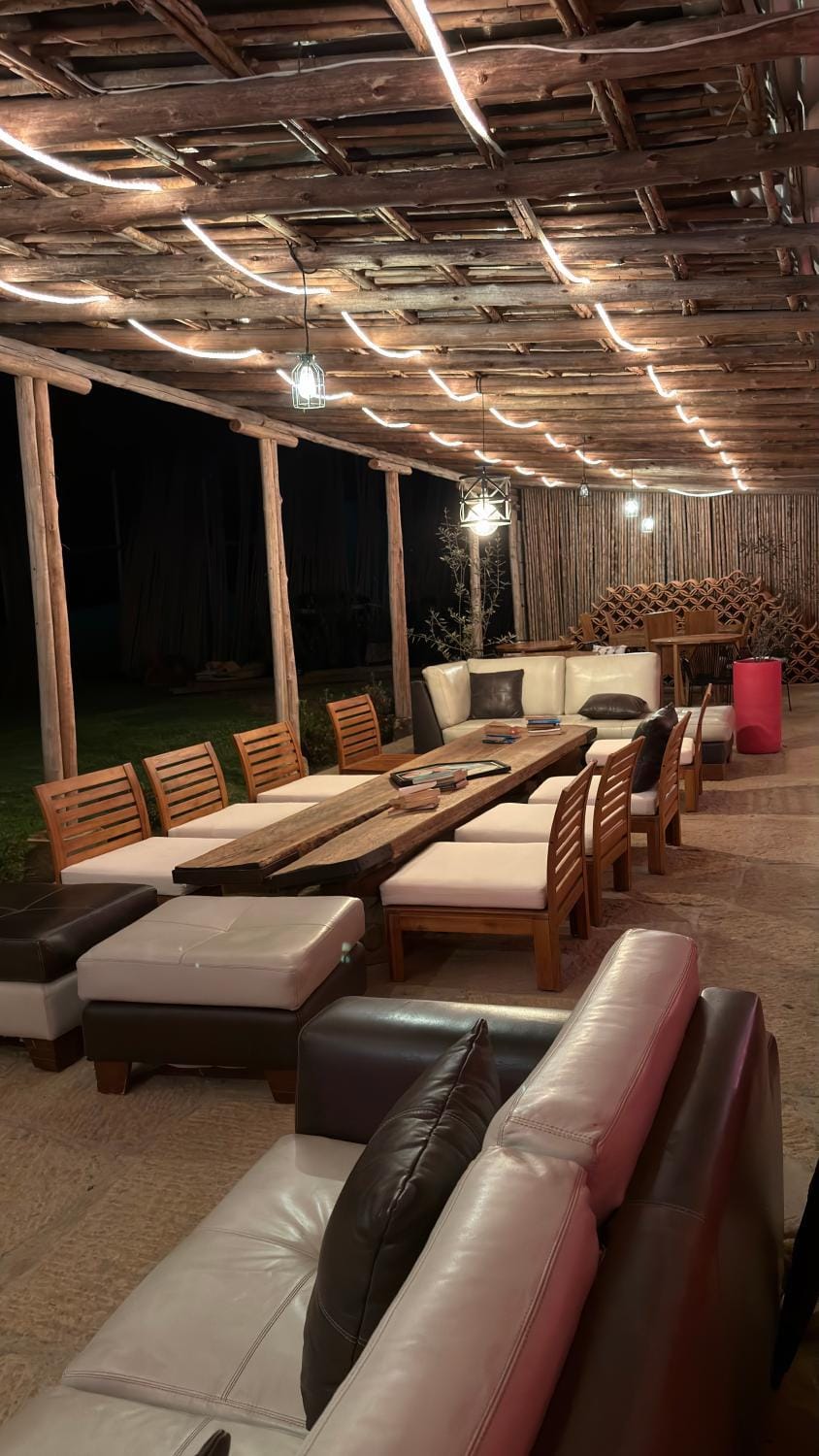 Living room, Seating area, furniture