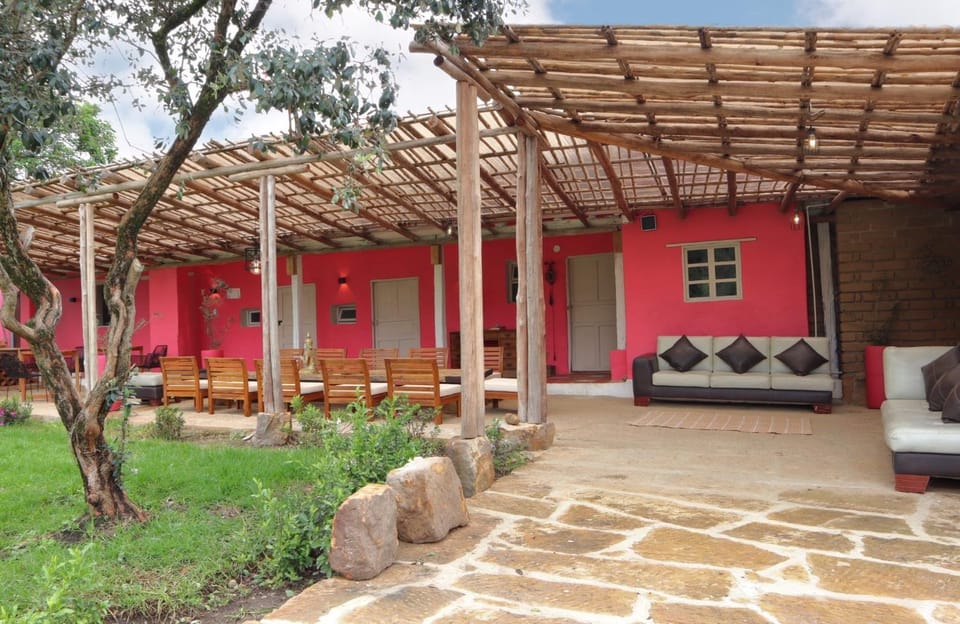 Patio, Garden