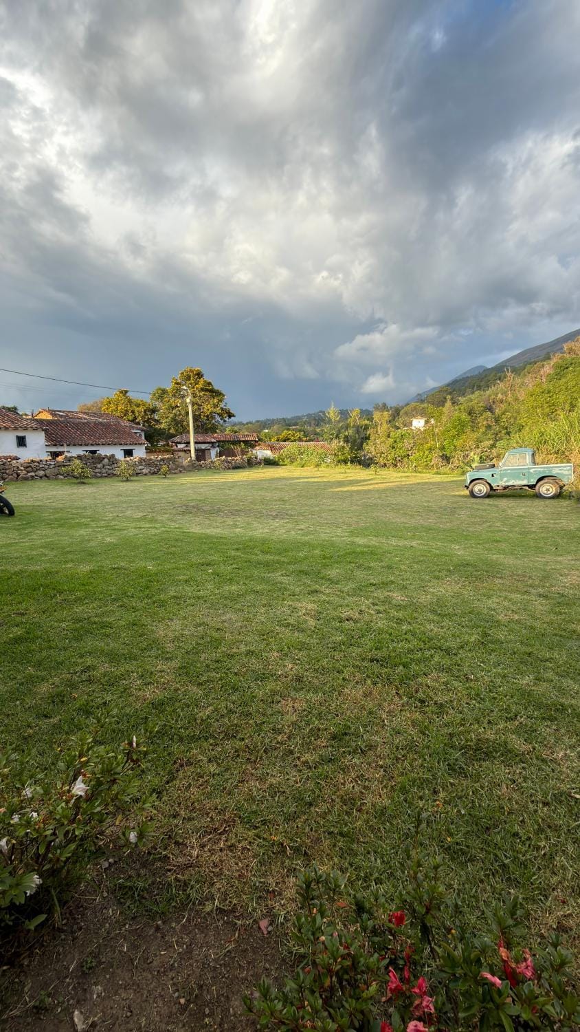 Garden, Mountain view