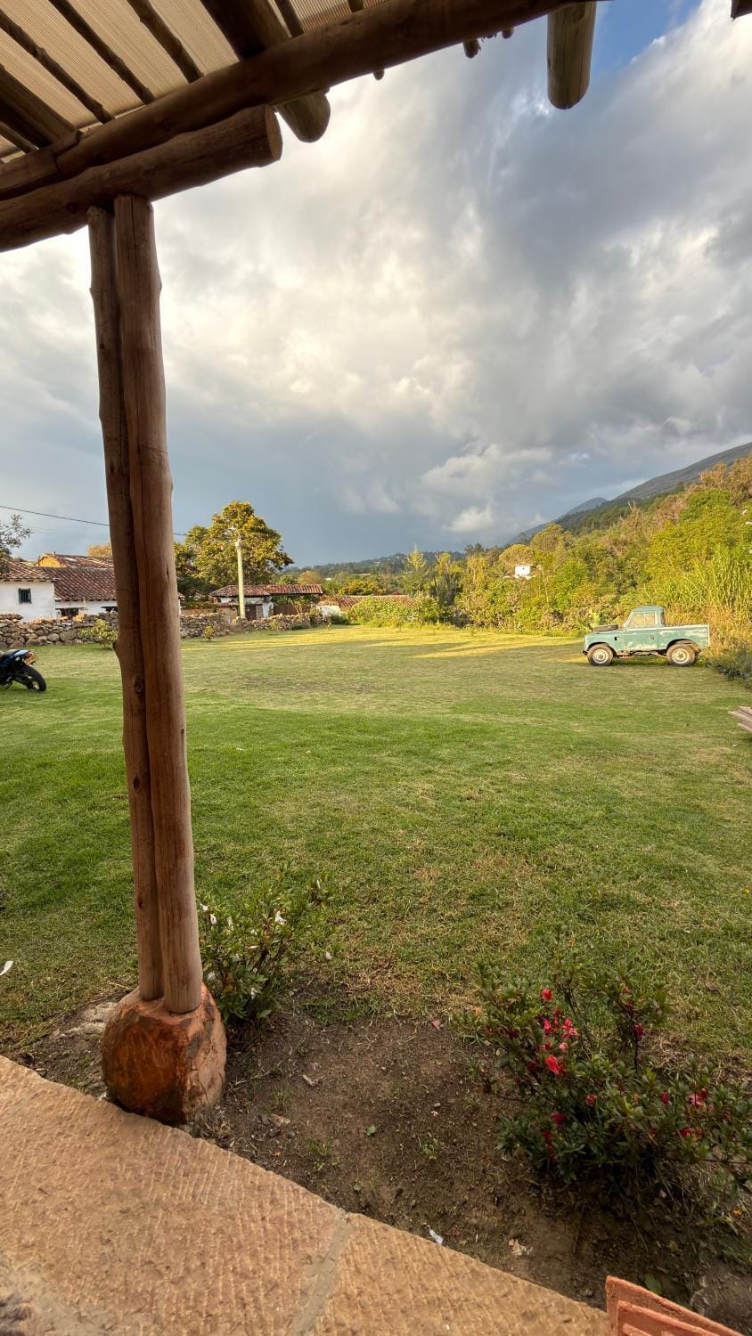Garden, Mountain view