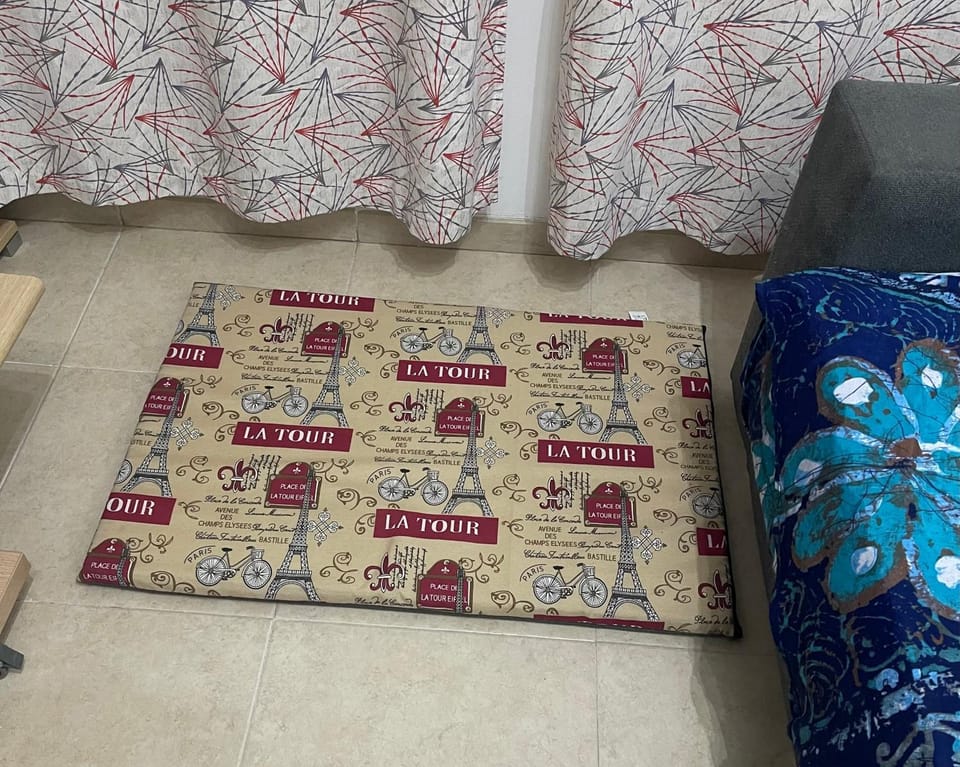 Acogedor piso en Benissanó Apartment in Aragon