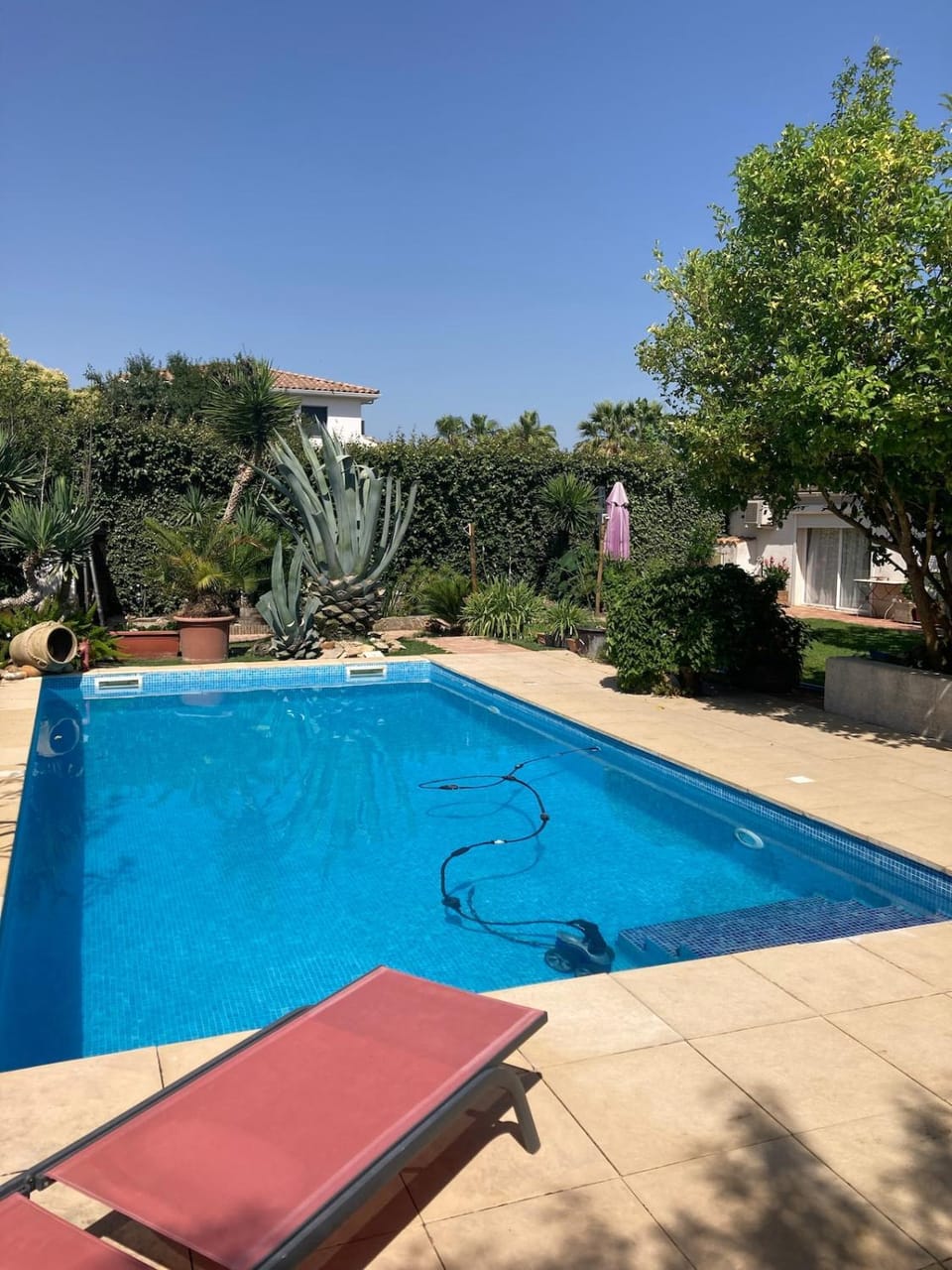 Garden view, Pool view, Swimming pool, sunbed