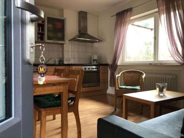 Kitchen or kitchenette, Living room, Seating area, Dining area, stove