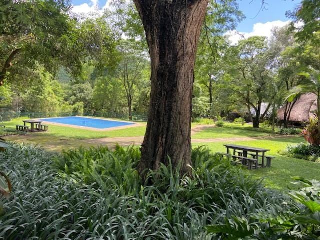 Natural landscape, Garden, Garden view, Pool view, Swimming pool
