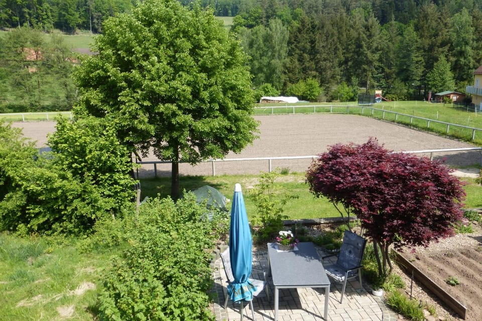 Garden, Balcony/Terrace