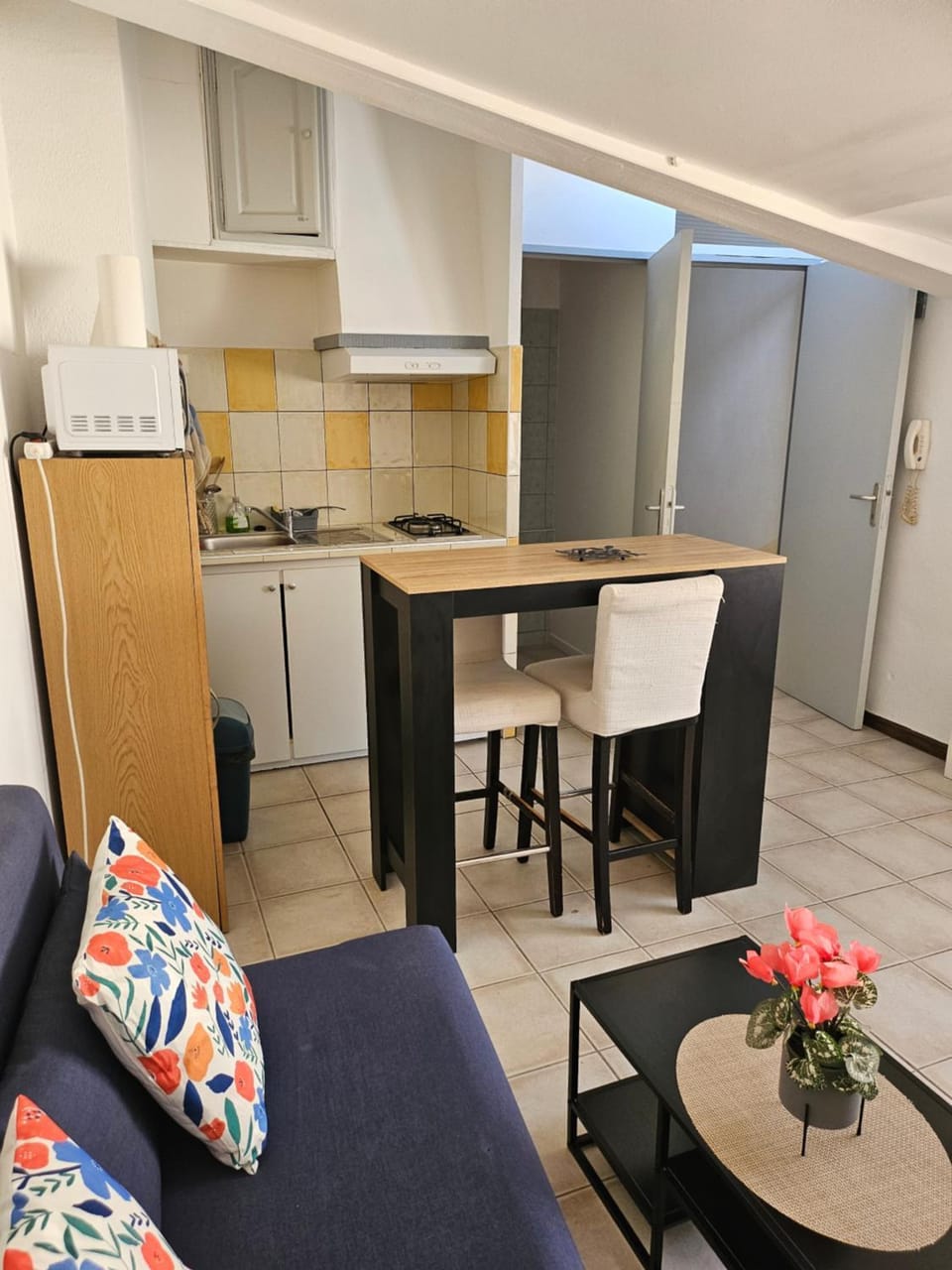 Agréable T2 au centre ville Apartment in Manosque