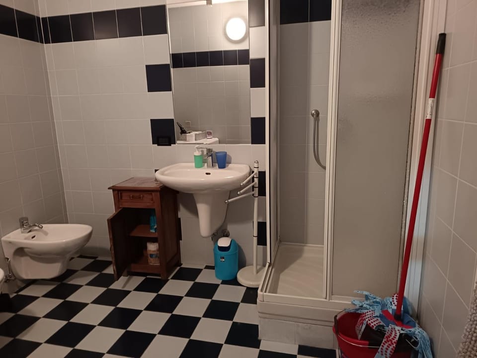 Shower, Toilet, Bathroom, bidet