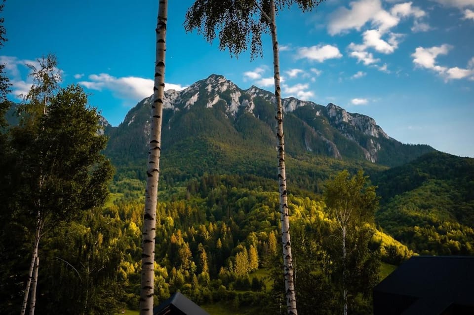 Mountain Escape Resort Chalet in Brașov County