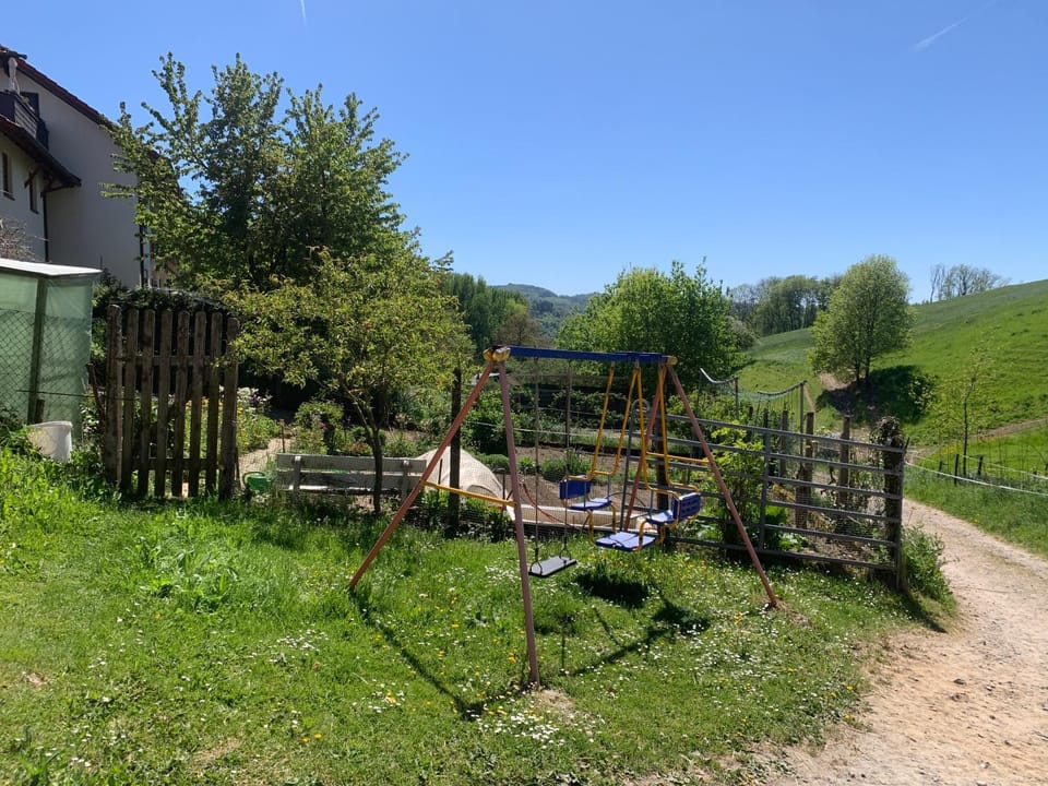 Children play ground