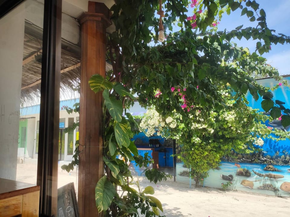 Manta Ray Bed and Breakfast in Maldives