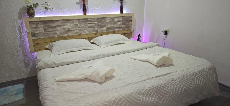 Manta Ray Bed and Breakfast in Maldives