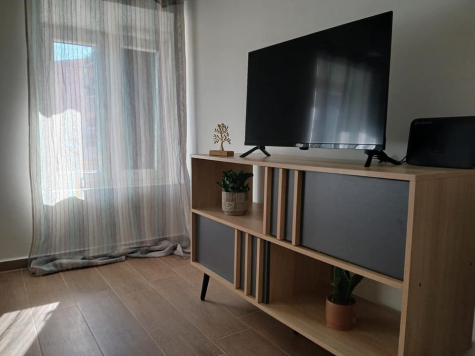 Communal lounge/ TV room, TV and multimedia