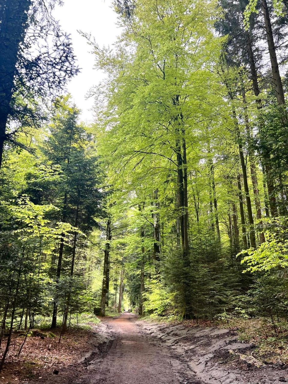 CaquiHome Vacation rental in Lausanne