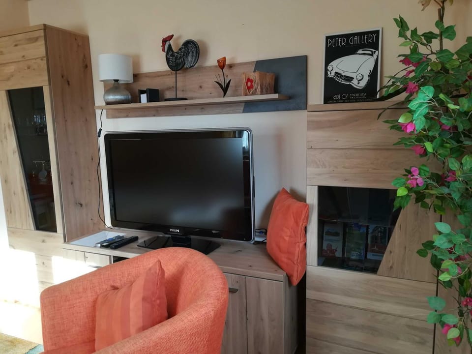 TV and multimedia, Living room