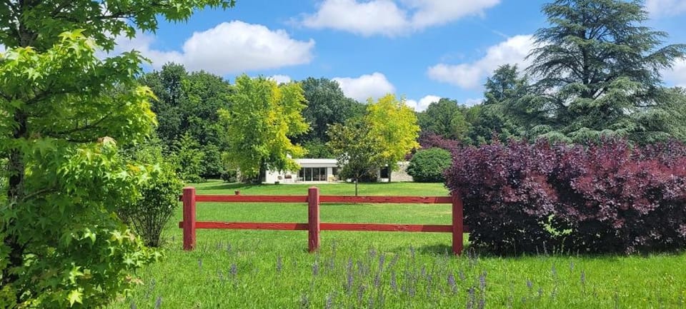 Natural landscape, Garden, Garden view