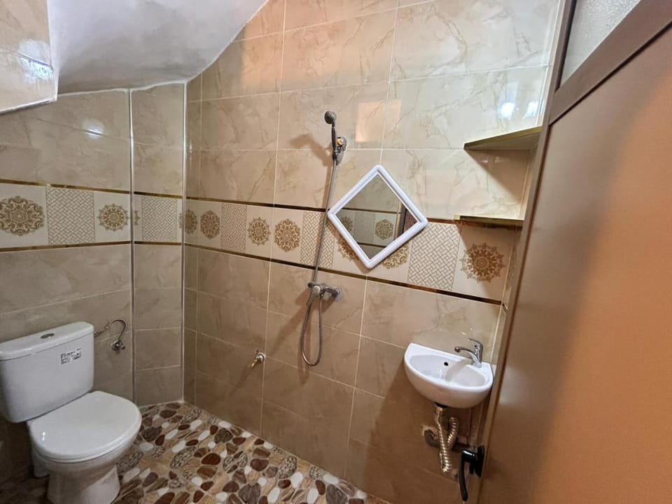 Shower, Toilet, Bathroom, bidet