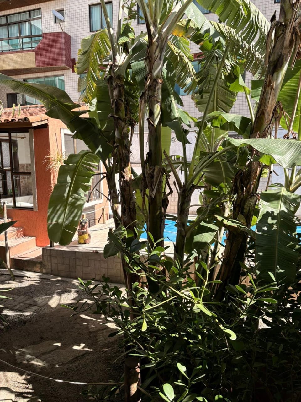 View (from property/room)